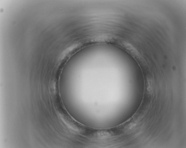 X0000073760636200608102046