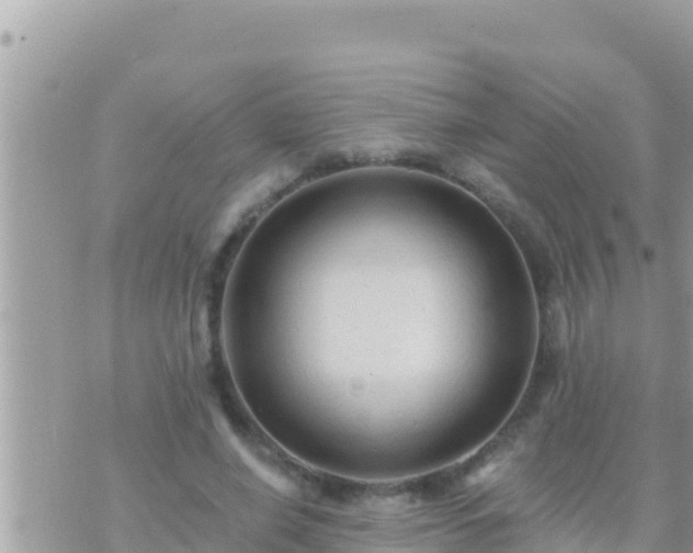 X0000073760638200608102046