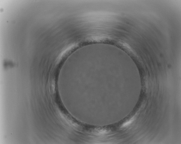 X0000073760640200608102046