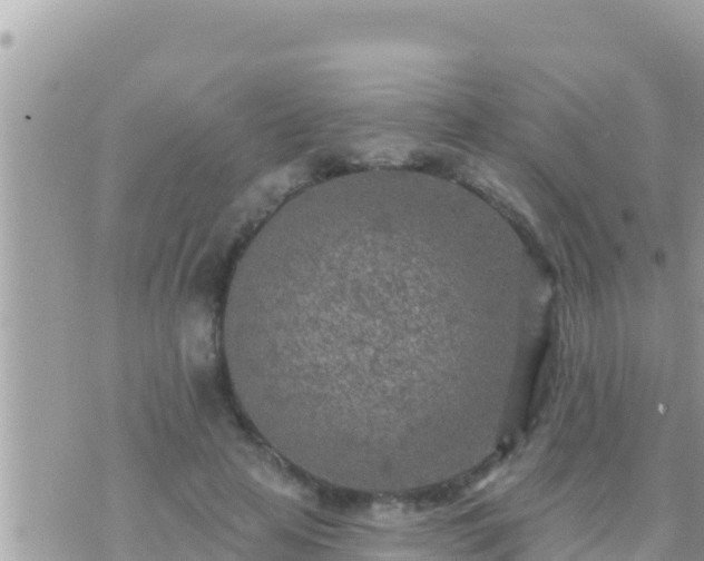 X0000073760641200608102046