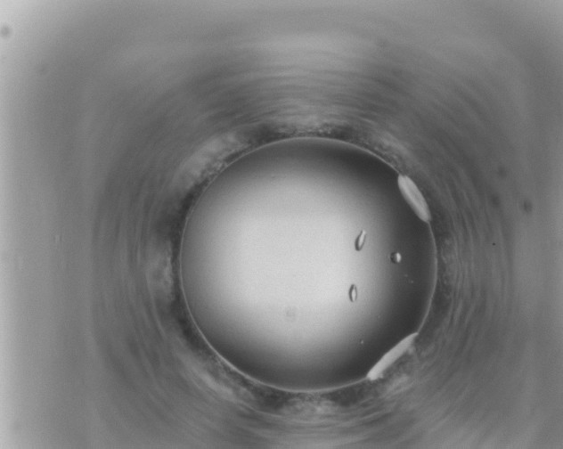 X0000073760642200608102046