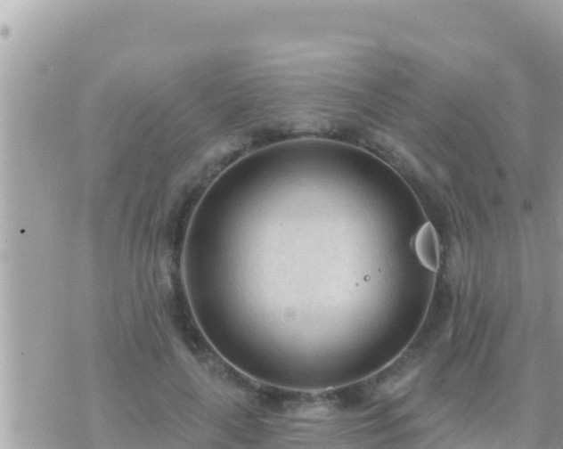 X0000073760643200608102046