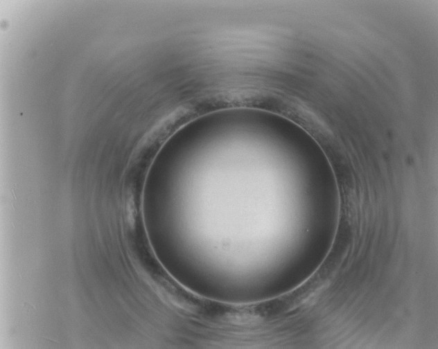 X0000073760644200608102046