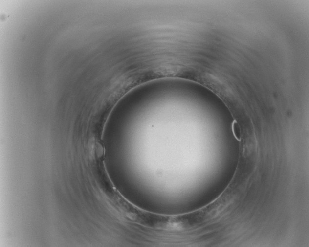 X0000073760647200608102047