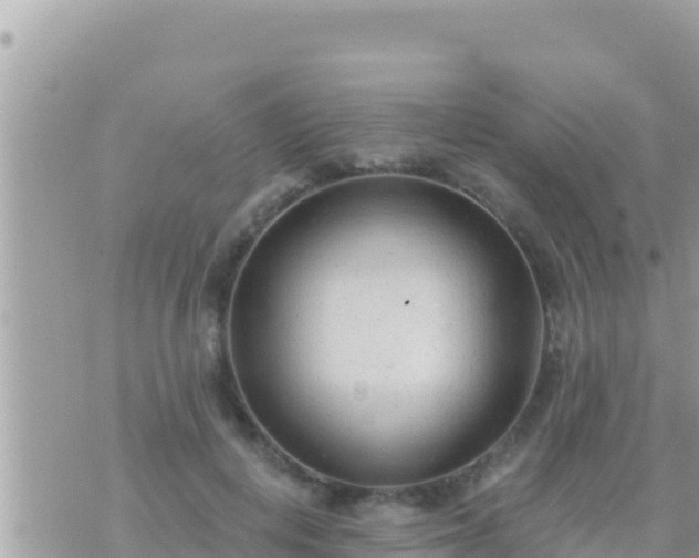 X0000073760648200608102047