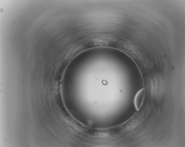 X0000073760649200608102047