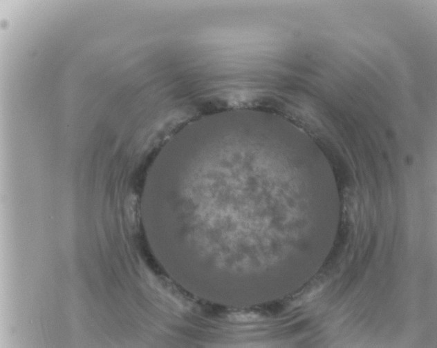 X0000073760650200608102047