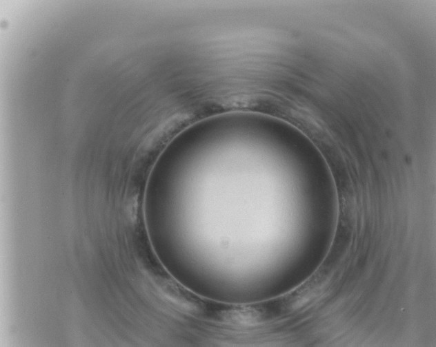 X0000073760652200608102047