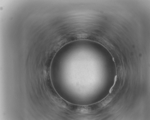 X0000073760655200608102047