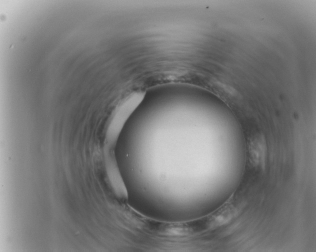 X0000073760657200608102047