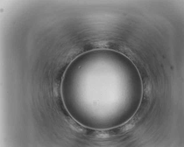 X0000073760658200608102047