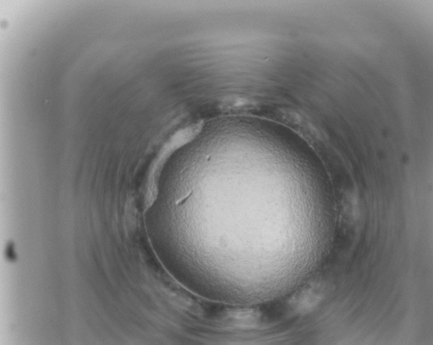 X0000073760659200608102047