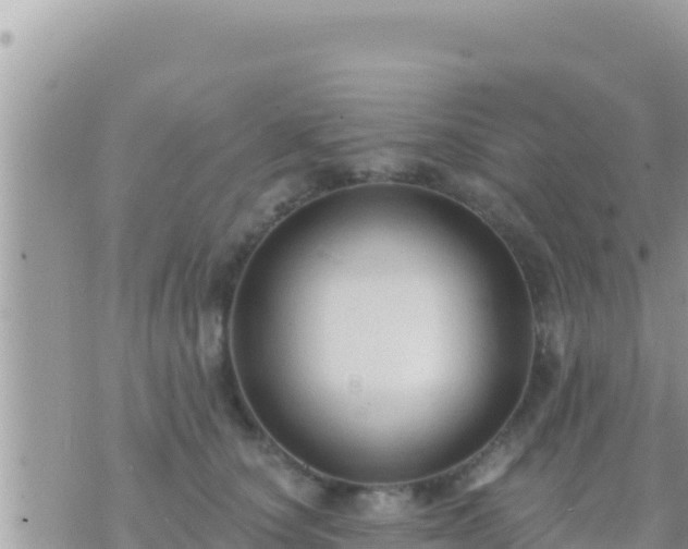 X0000073760660200608102047