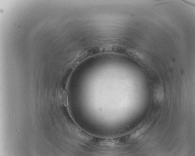 X0000073760661200608102047