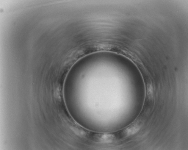 X0000073760663200608102047