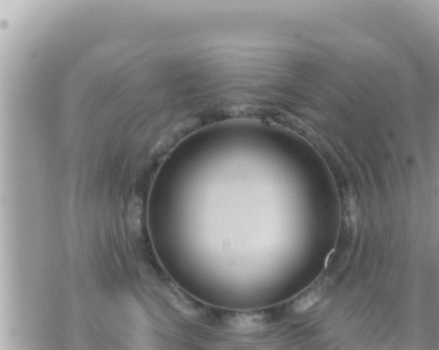 X0000073760664200608102047