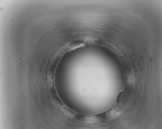 X0000073760666200608102047