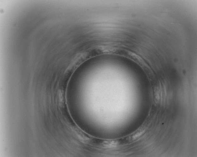 X0000073760667200608102047