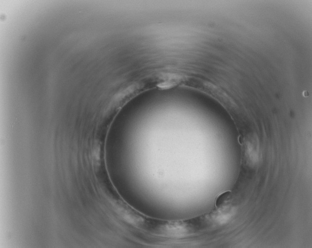 X0000073760668200608102047