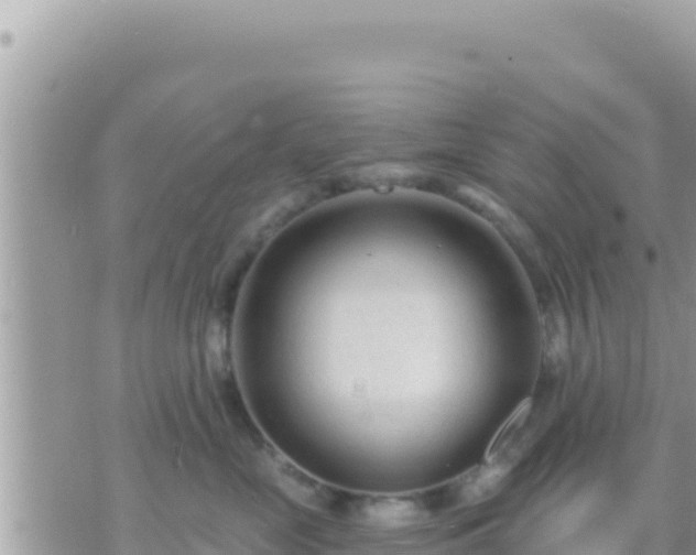 X0000073760669200608102047