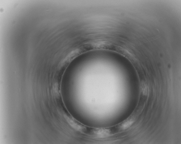 X0000073760670200608102047