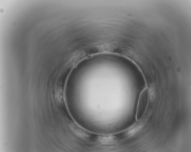 X0000073760671200608102047