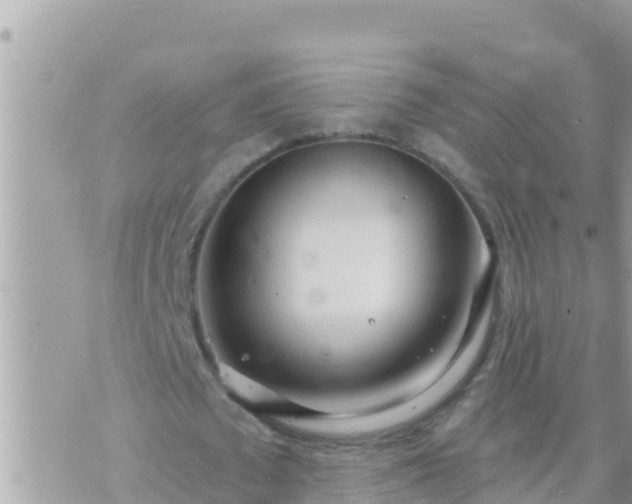 X0000073760673200608102046