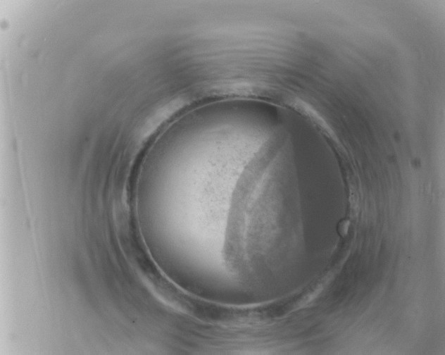 X0000073760674200608102046