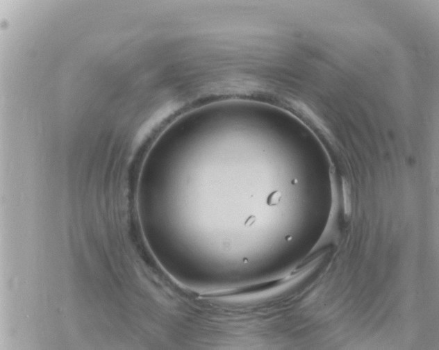 X0000073760675200608102046