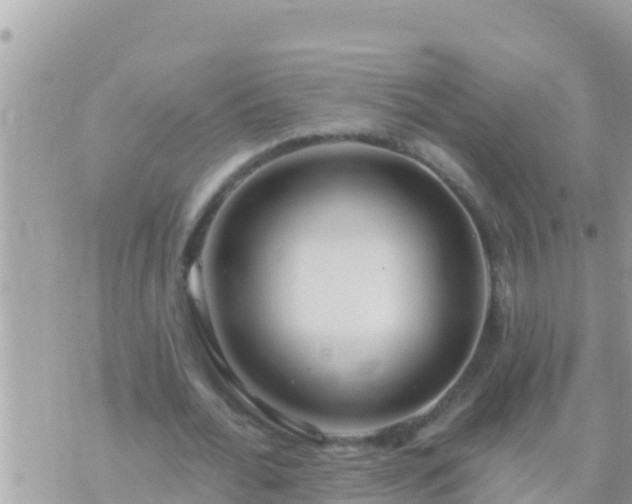 X0000073760676200608102046