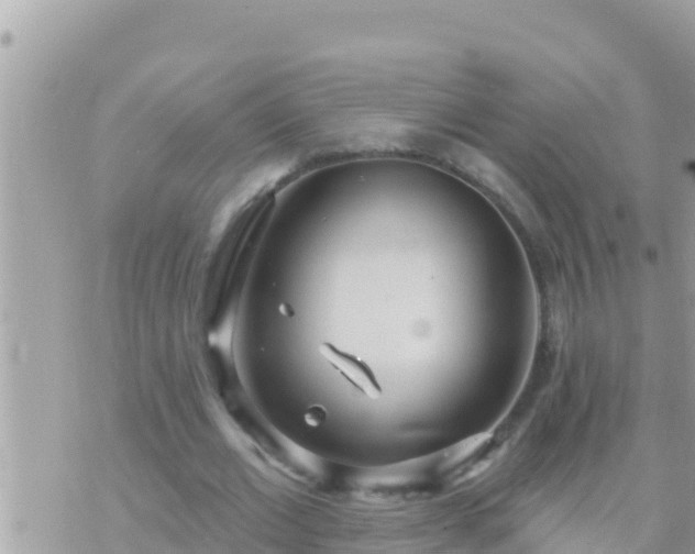 X0000073760677200608102046