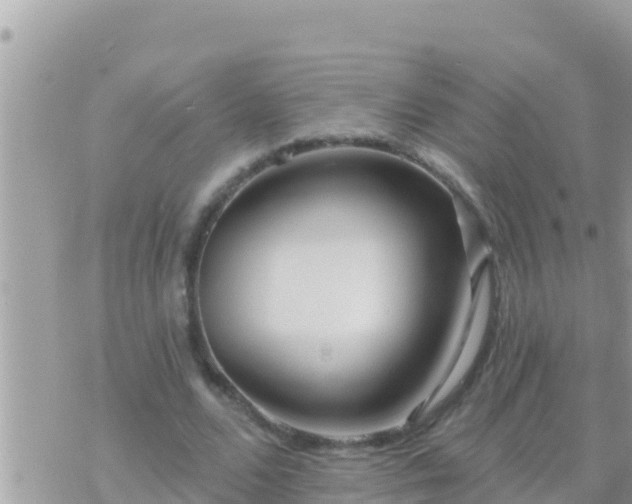 X0000073760680200608102046