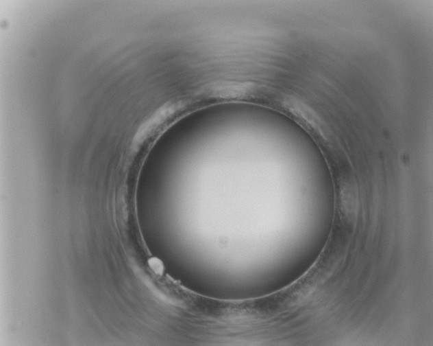 X0000073760682200608102046