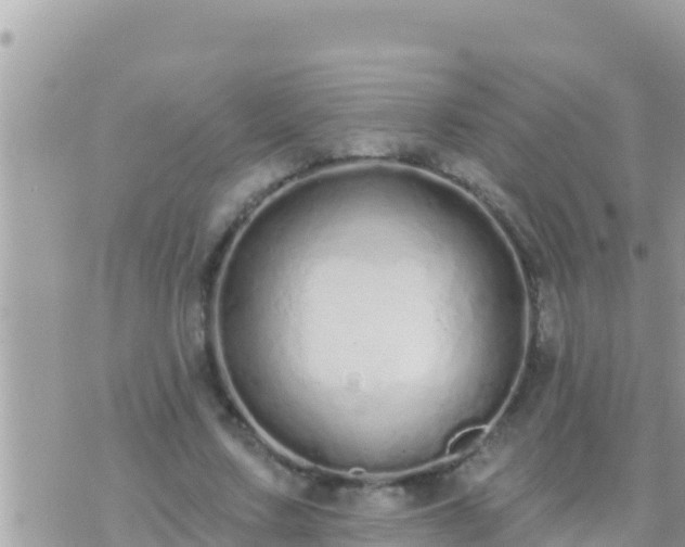 X0000073760683200608102046