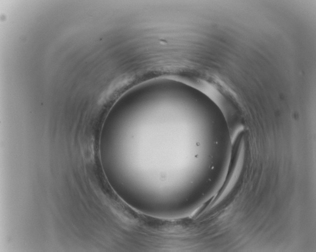 X0000073760685200608102046