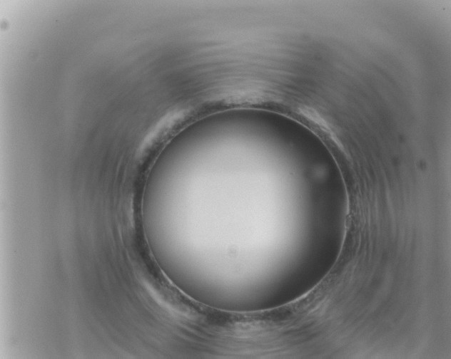 X0000073760686200608102046