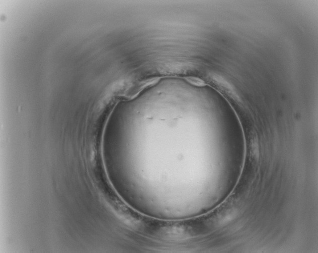 X0000073760687200608102046