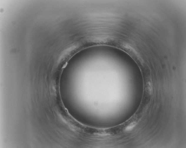 X0000073760688200608102046