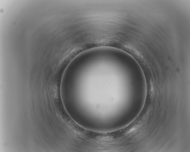 X0000073760689200608102046