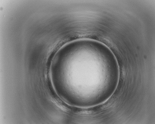 X0000073760691200608102046