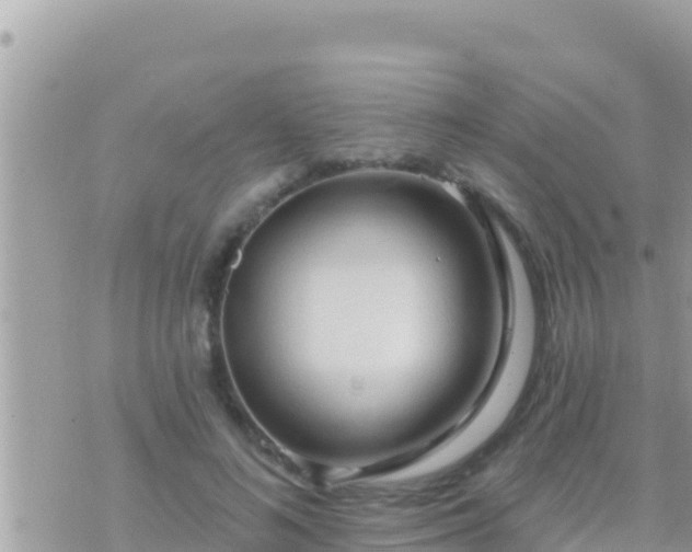 X0000073760692200608102046