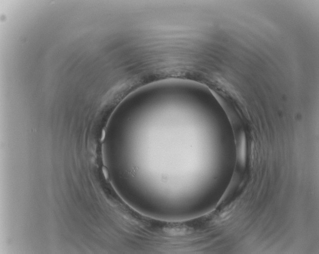 X0000073760693200608102046