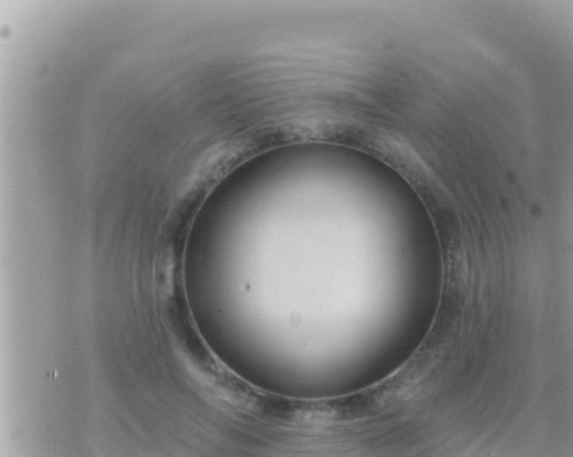 X0000073760694200608102046