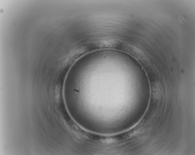 X0000073760695200608102046