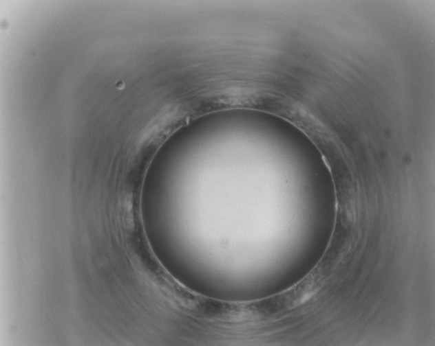 X0000073760696200608102046