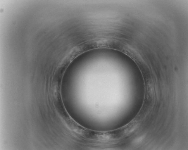 X0000073760698200608102046