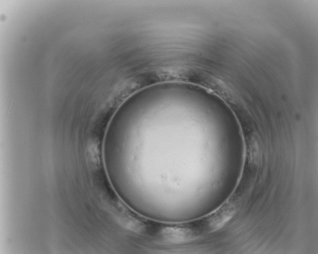 X0000073760699200608102046