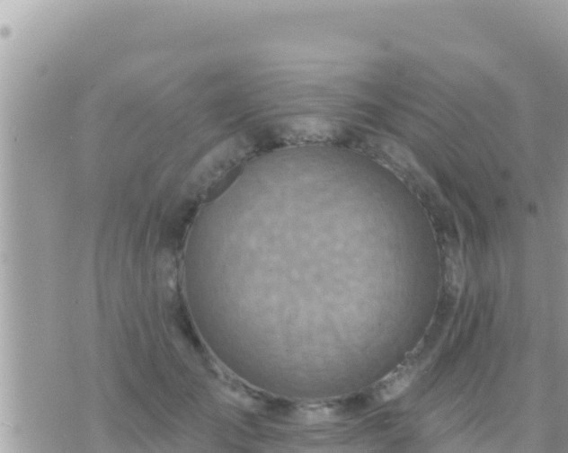 X0000073760701200608102046