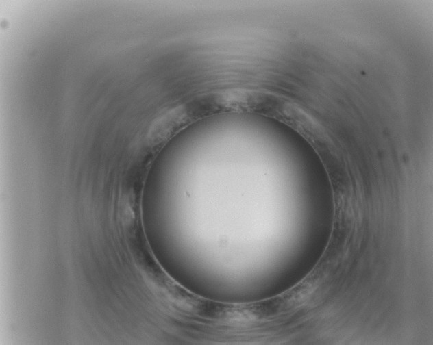 X0000073760702200608102046