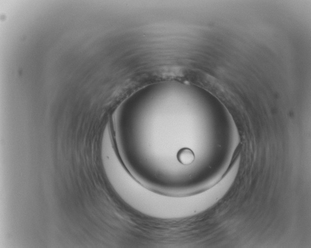 X0000073760704200608102046